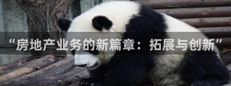 风暴娱乐有5指尖：“房地产业务的新篇章：拓展与创新”