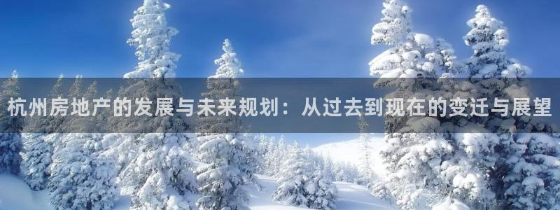 风暴娱乐派对：杭州房地产的发展与未来规划：从过去到现在的变迁