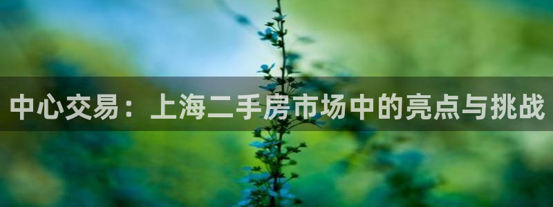风暴娱乐主管是谁：中心交易：上海二手房市场中的亮点与挑战