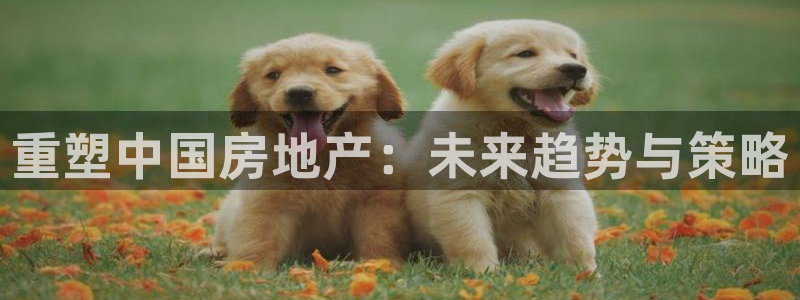 风暴娱乐上5指尖：重塑中国房地产：未来趋势与策略
