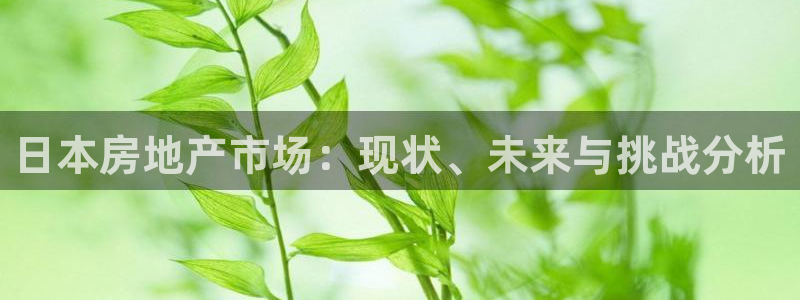 风暴娱乐首页