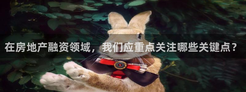 4120051风暴娱乐：在房地产融资领域，我们应重点关注哪些