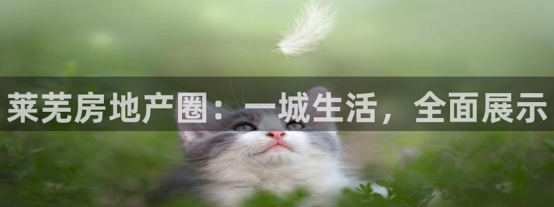 风暴娱乐网：莱芜房地产圈：一城生活，全面展示