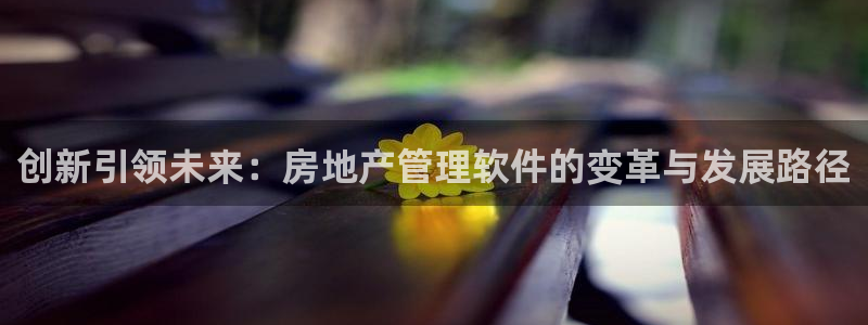 风暴娱乐1980：创新引领未来：房地产管理软件的变革与发展路
