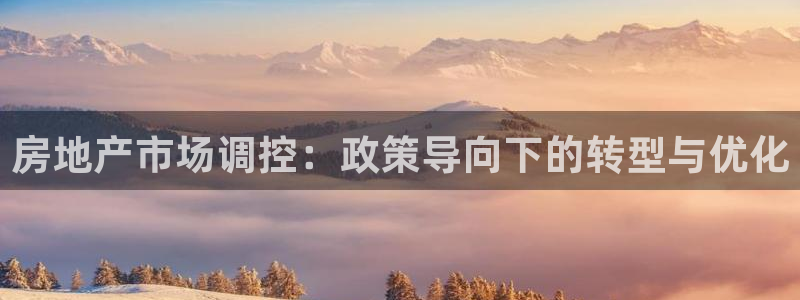风暴娱乐派对：房地产市场调控：政策导向下的转型与优化