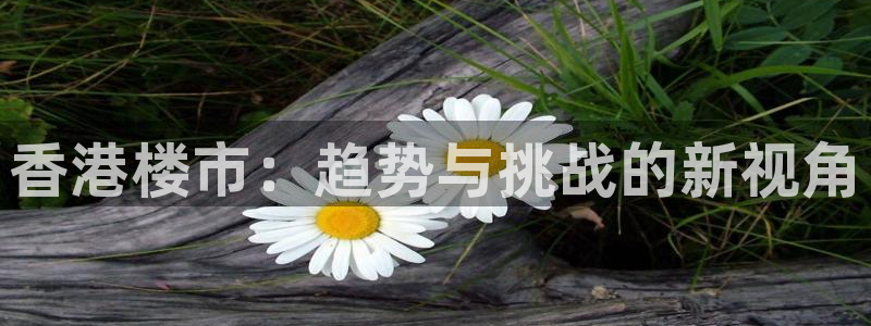 菲律宾风暴娱乐集团：香港楼市：趋势与挑战的新视角