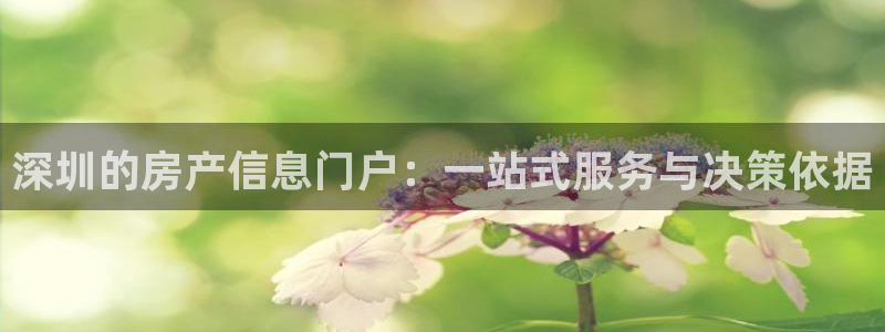 风暴娱乐注册网址：深圳的房产信息门户：一站式服务与决策依据