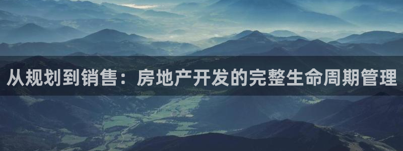 娱乐星空风暴：从规划到销售：房地产开发的完整生命周期管理