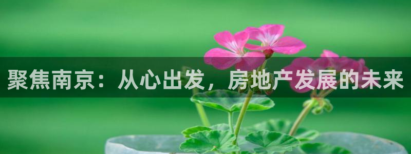 星风暴娱乐：聚焦南京：从心出发，房地产发展的未来