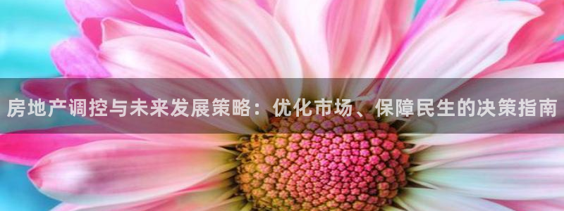 风暴娱乐下载地址：房地产调控与未来发展策略：优化市场、保障民