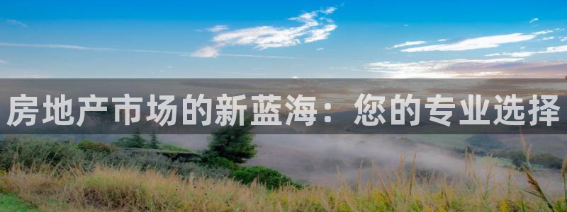 风暴娱乐上5指尖：房地产市场的新蓝海：您的专业选择