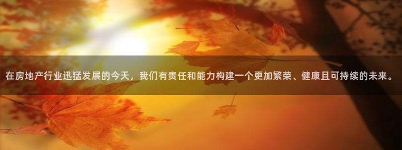 风暴娱乐拉菲8：在房地产行业迅猛发展的今天，我们有责任和能力