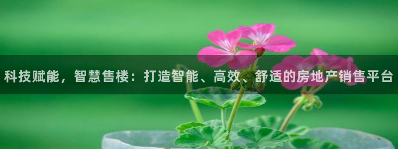 下载风暴娱乐：科技赋能，智慧售楼：打造智能、高效、舒适的房地