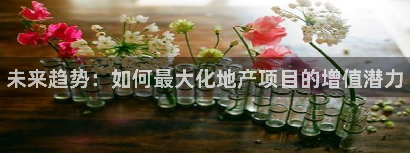 风暴娱乐测速：未来趋势：如何最大化地产项目的增值潜力