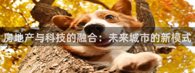 风暴娱乐登录网址：房地产与科技的融合：未来城市的新模式