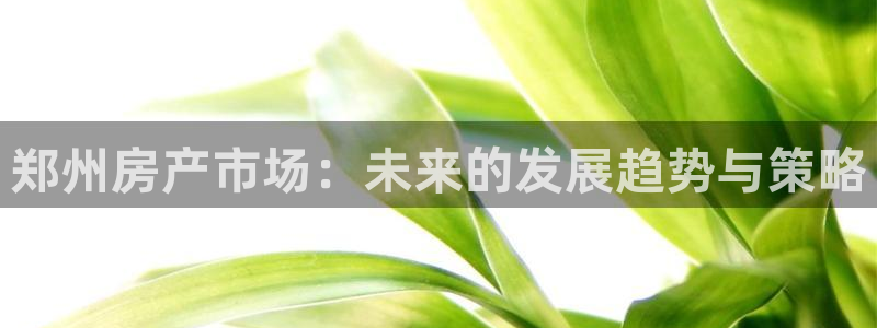 风暴娱乐官网开户：郑州房产市场：未来的发展趋势与策略