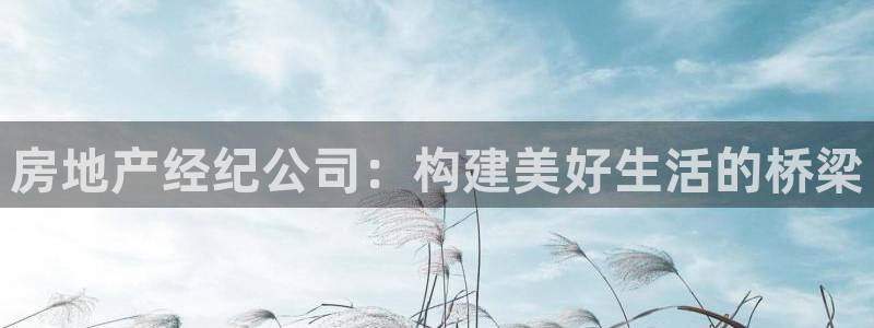 4120051风暴娱乐：房地产经纪公司：构建美好生活的桥梁