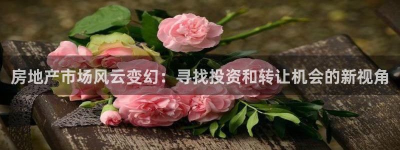风暴娱乐这个平台靠谱：房地产市场风云变幻：寻找投资和转让机会