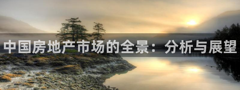 风暴娱乐40996：中国房地产市场的全景：分析与展望