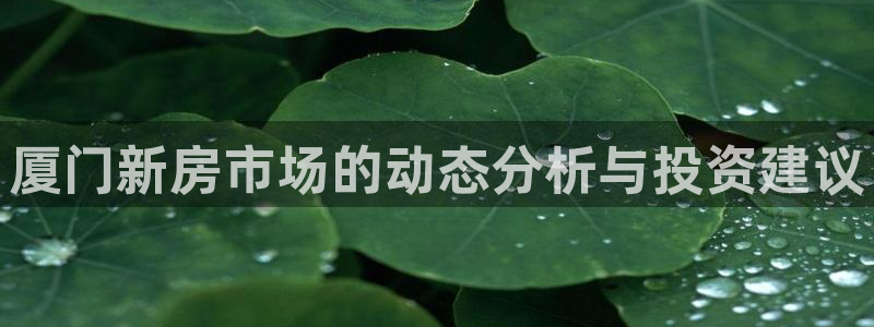 风暴娱乐拉菲8：厦门新房市场的动态分析与投资建议