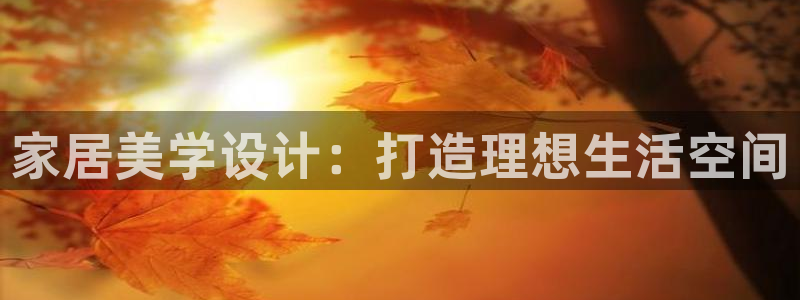 风暴娱乐客服：家居美学设计：打造理想生活空间