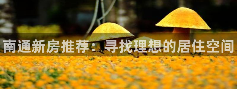 娱乐风暴App：南通新房推荐：寻找理想的居住空间