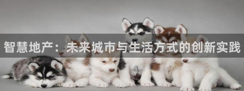 娱乐风暴2：智慧地产：未来城市与生活方式的创新实践