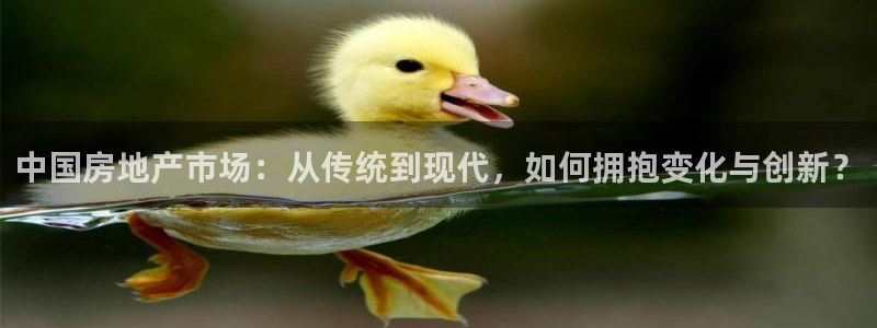 风暴娱乐眼：中国房地产市场：从传统到现代，如何拥抱变化与创新
