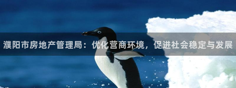 风暴大厅娱乐：濮阳市房地产管理局：优化营商环境，促进社会稳定