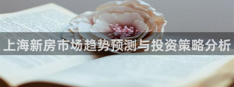 风暴英雄娱乐：上海新房市场趋势预测与投资策略分析