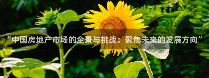 完美风暴 娱乐：“中国房地产市场的全景与挑战：聚焦未来的发展