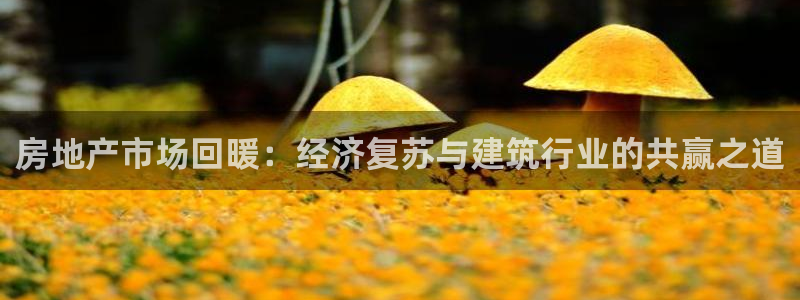 风暴娱乐有5指尖