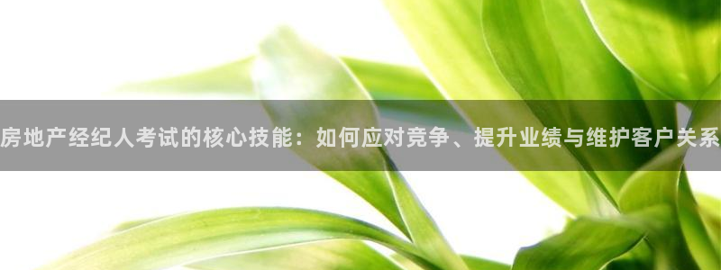 风暴娱乐网：房地产经纪人考试的核心技能：如何应对竞争、提升业