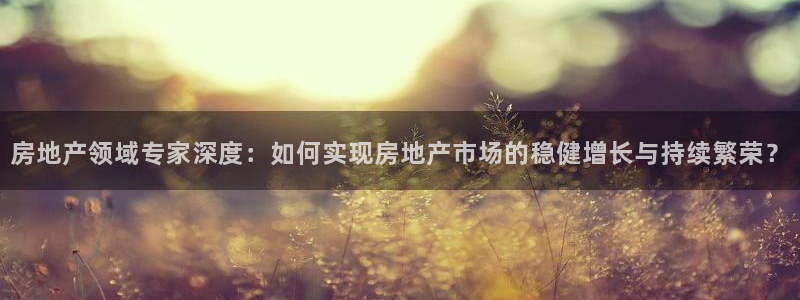 风暴娱乐网：房地产领域专家深度：如何实现房地产市场的稳健增长