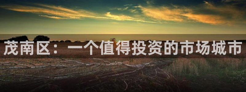 风暴官方娱乐：茂南区：一个值得投资的市场城市