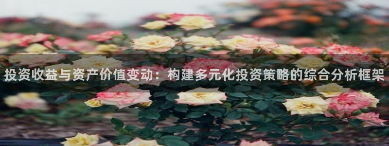 风暴娱乐代理登录：投资收益与资产价值变动：构建多元化投资策略
