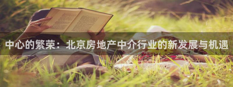 风暴娱乐右5指尖：中心的繁荣：北京房地产中介行业的新发展与机