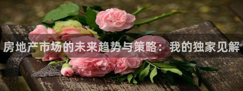 风暴娱乐上5指尖：房地产市场的未来趋势与策略：我的独家见解