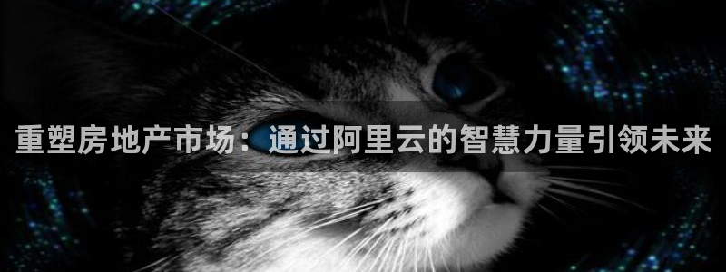 风暴娱乐右5指尖：重塑房地产市场：通过阿里云的智慧力量引领未