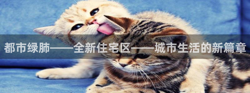 风暴娱乐官方网站：都市绿肺——全新住宅区——城市生活的新篇章