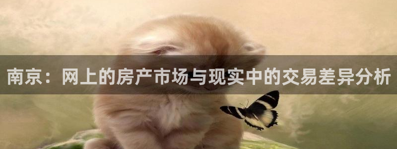 风暴娱乐字图片大全：南京：网上的房产市场与现实中的交易差异分