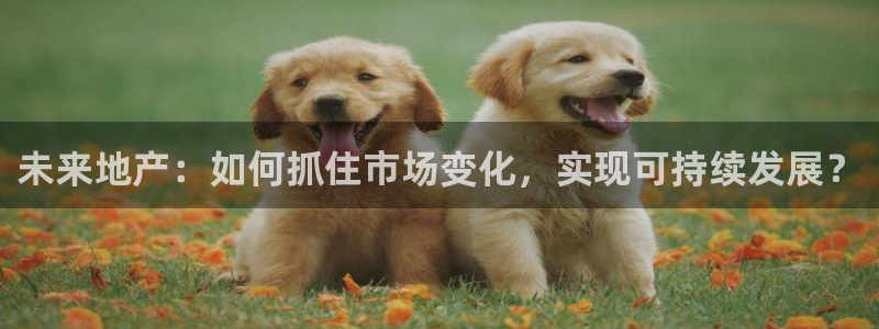 风暴大厅娱乐：未来地产：如何抓住市场变化，实现可持续发展？