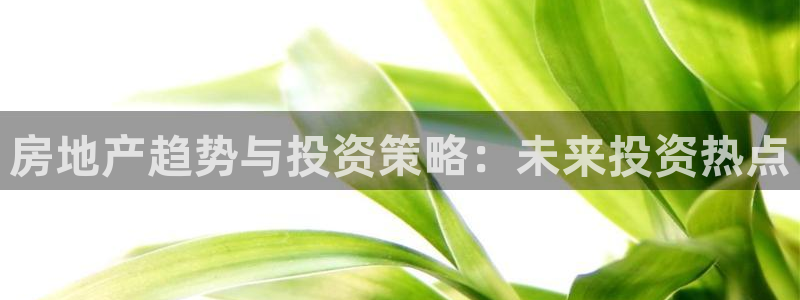 风暴娱乐地5指尖：房地产趋势与投资策略：未来投资热点