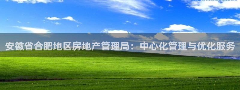 风暴娱乐 平台首页：安徽省合肥地区房地产管理局：中心化管理与