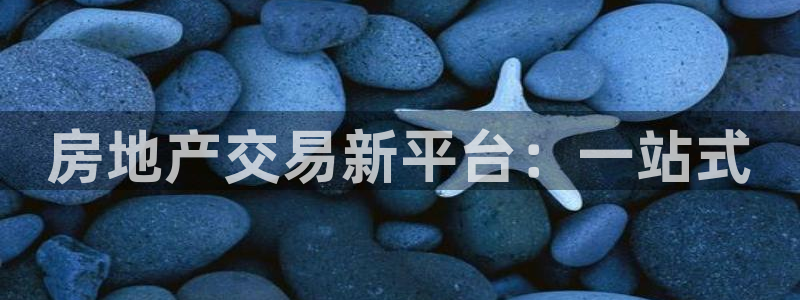 风暴娱乐注册网址：房地产交易新平台：一站式