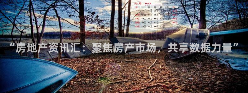 风暴娱乐开户：“房地产资讯汇：聚焦房产市场，共享数据力量”