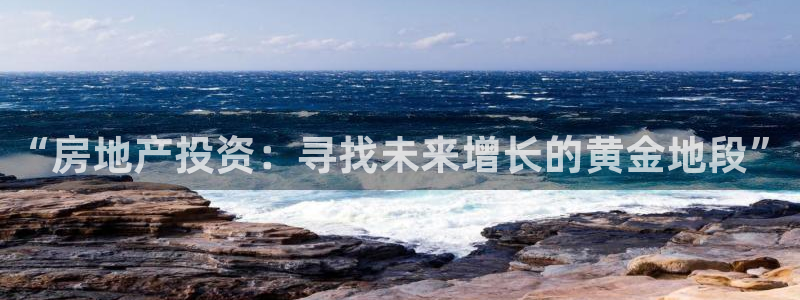 风暴娱乐记：“房地产投资：寻找未来增长的黄金地段”