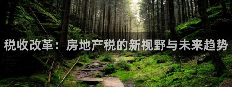 风暴娱乐右5指尖：税收改革：房地产税的新视野与未来趋势