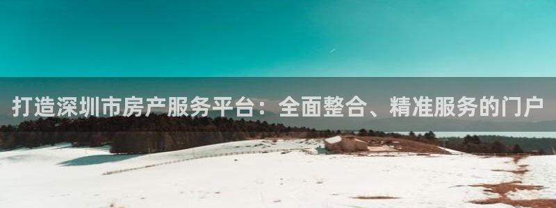 风暴娱乐提现：打造深圳市房产服务平台：全面整合、精准服务的门
