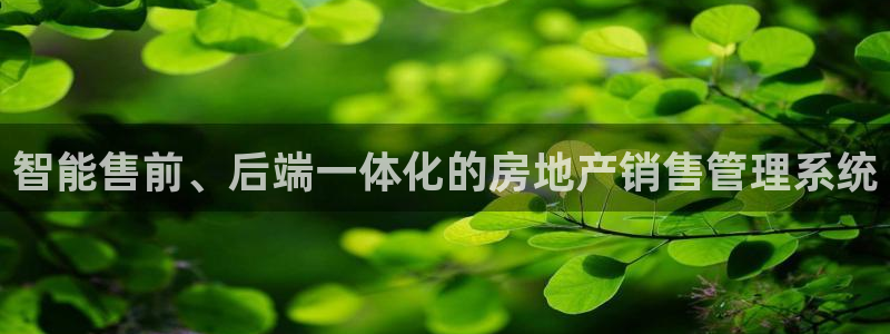 风暴娱乐月5指尖：智能售前、后端一体化的房地产销售管理系统